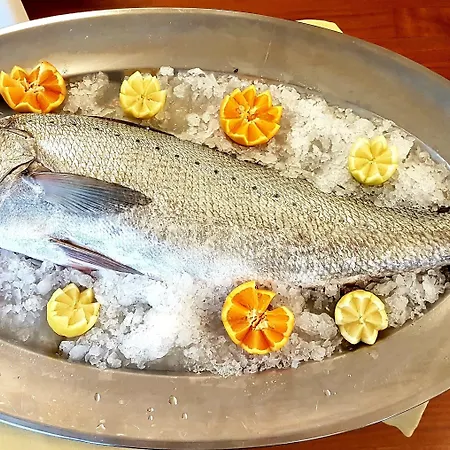 パラディソ ホテル 4*