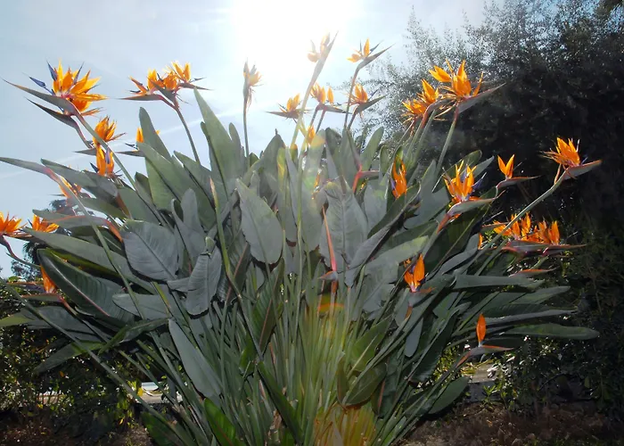 Hotell Paradiso Sanremo