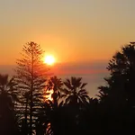 Paradiso 4*