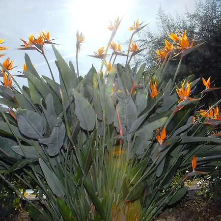 Hotel Paradiso Sanremo